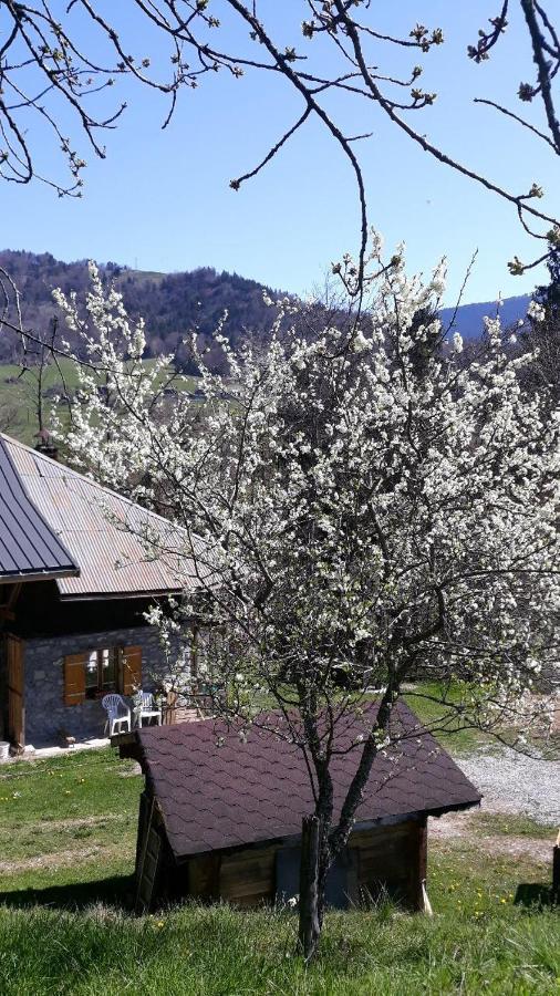 Chambre D'Hotes L'Aire Du Temps Savoyard ユジーヌ エクステリア 写真
