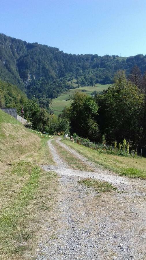 Chambre D'Hotes L'Aire Du Temps Savoyard ユジーヌ エクステリア 写真